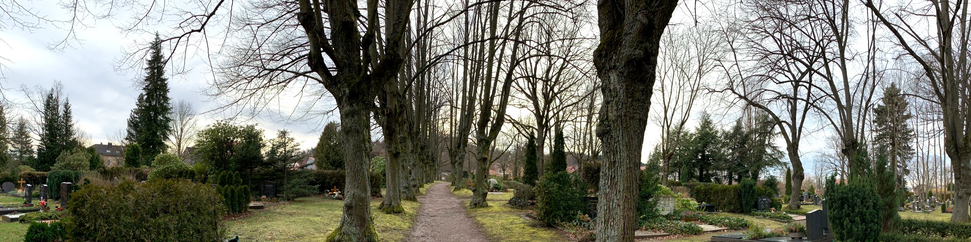 Andrea Kubowicz - Friedhofsf&uuml;hrung in Ilmenau
