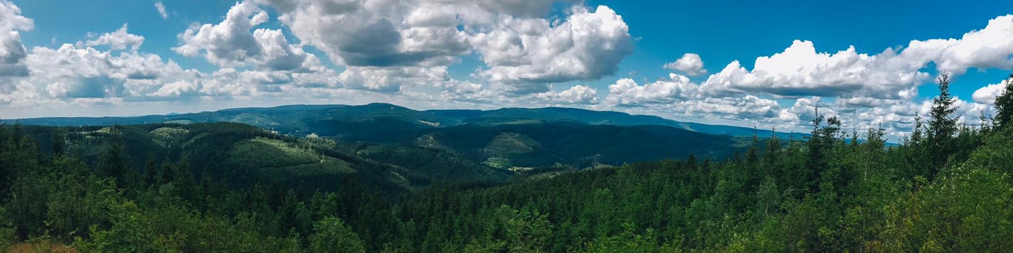 Andrea Kubowicz f&uuml;hrt Sie durch den Th&uuml;ringer Wald